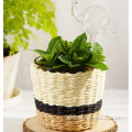 Rattan Wrapped Glass Cup With Handle glass flower pots clear glass candle holder Supplier